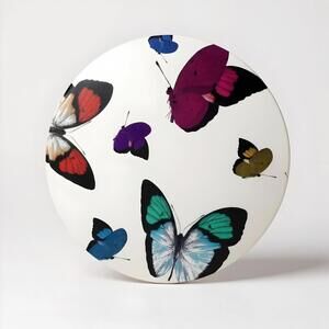 Nicolette Mayer Butterfly 16" Round Placemats Set of 4 Multicolor Vinyl